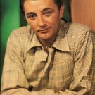 ROBERT MITCHUM head shot poster CASUAL top QUALITY professional 20x30