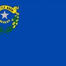 nevada official STATE FLAG POSTER collectors historic political 20x30 HOT