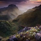 THAI MOUNTAIN SUNLIGHT poster MYSTICAL JAGGED flowers sky BEAUTY 20x30