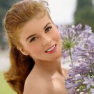 ANN-MARGRET movie still poster TOP QUALITY COLLECTIBLE RARE YOUTHFUL 20x30