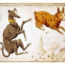 From Urania's Mirror ancient ASTRONOMY POSTER 20x30 Latin text 1825