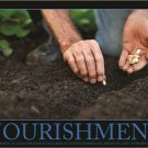 NOURISHMENT inspiration motivation poster 20x30 GROUND SEEDING growth health