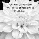 zinnia flower with PEARL S. BUCK quote INSPIRATIONAL POSTER 20x30 happiness