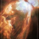 THE BUG NEBULA Hubble Space Telescope image POSTER 20x30 surprising details