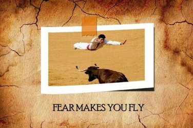 FEAR MAKES YOU FLY over bulls horns poster 20x30 comical INSPIRATIONAL