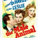 OLIVIA DEHAVILLAND henry fonda THE MALE ANIMAL classic movie poster 20x30