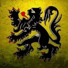 ENSIGN of BELGIUM poster 20x30 LION mane tail claws COLLECTORS gem AWESOME!