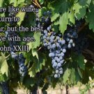 POPE JOHN 23 quote about men & wine INSPIRATIONAL POSTER 20x30 wise insight