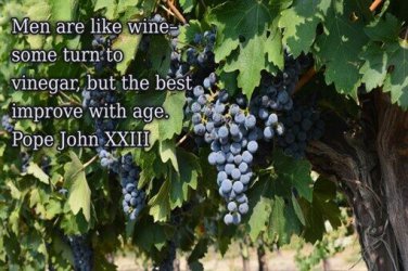 POPE JOHN 23 quote about men & wine INSPIRATIONAL POSTER 20x30 wise insight