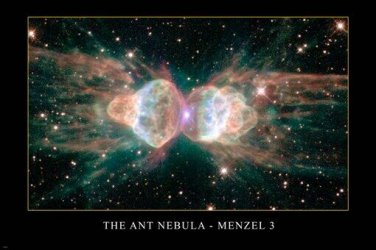 THE ANT NEBULA - Menzel 3 Hubble Space Telescope image POSTER 20x30 AMAZING