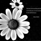 daisy coming at you HELEN KELLER quote INSPIRATIONAL poster 20x30 BEAUTY