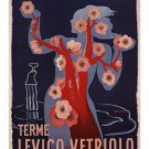 Spa Levico Vetriolo VINTAGE POSTER Giuseppe Riccobaldi Italy 1950 20x30 HOT