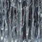Silver Trees