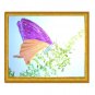 Butterfly on Green Leaf