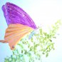 Butterfly on Green Leaf