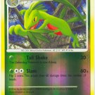 39 Grovyle REVERSE FOIL (U) Stormfront Pokemon TCG