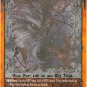 Old Wolf of the Woods Past Life Foil Rage CCG Limited Edition