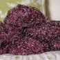 $72 Lot--6 Skeins Ironstone Desert Flower "Girly Magic" Yarn + Free Gift!