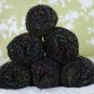 6 Skeins Lion Brand Colorwaves "Lava" Yarn + Free Gift!