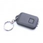 White Light Solar Powered Self-Recharge Flashlight Keychain
