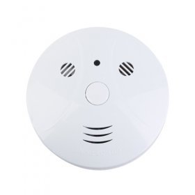 2-in-1 Working Smoke Detector Alarm + Hidden Spy Pin Hole CCD Video Camera