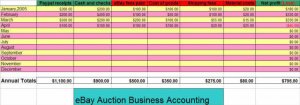 AUCTION BUSINESS MONTHLY ACCOUNTING SOFTWARE for ALL eBAY Sellers,  Version 5.0