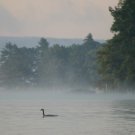 Morning on Deep Creek Lake
