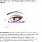 MAC Pro Cosmetics Training & Knowledge Manual , Face Charts , Videos and More - Free Ship !