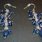 Blue Dangle Earrings