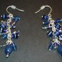 Blue Dangle Earrings