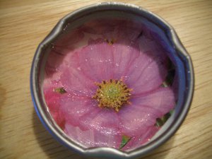 Cosmo Snapple Cap Button