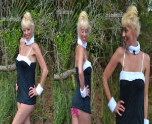 Bunny Costume 4 piece bunny costume...