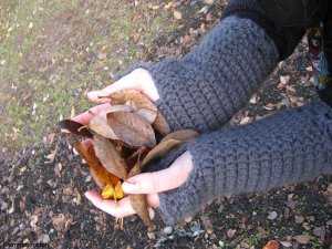 the Bella Swan gloves.