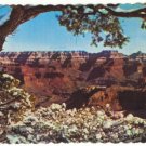 SPLENDID VIEW GRAND CANYON NATIONAL PARK 1982 POSTCARD