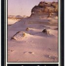 POSTCARD CAPE COD MA MASSACHUSETTS SAND DUNES POSTCARD POSTCARD CAPE COD MA MASSACHUSETTS SAND DUNES POSTCARD