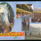 Saratoga Springs, Saratoga Race Course Breakfast at the Track Postcard 36 203 Saratoga Springs, Saratoga Race Course Breakfast at the Track Postcard 36 203