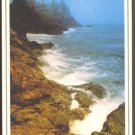 ROCKY TREE LINED COAST CAMDEN MAINE 1980s POSTCARD