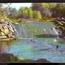 ca 1950/1960 Springfield MA Forest Park Dam and Fountain Chrome Postcard