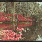 LOVELY SCENE OF MIDDLETON GARDENS CHARLESTON SOUTH CAROLINA SC 825 LOVELY SCENE OF MIDDLETON GARDENS CHARLESTON SOUTH CAROLINA SC 825