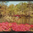 AZALEA BLOSSOM TIME AT MUNICIPAL GARDENS NORFOLK VIRGINIA 843