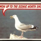THE SEAGULL SAYS C’MON UP TO THE SCENIC NORTH SHORE BEVERLY SALEM MARBLEHEAD MA 851 THE SEAGULL SAYS C’MON UP TO THE SCENIC NORTH SHORE BEVERLY SALEM MARBLEHEAD MA 851