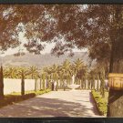 ITALIAN SWISS COLONY WINERY PATIO & STATUE OF BACCHUS 855