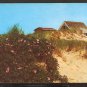 1978 SHACK ON THE CAPE COD DUNES WITH WILD ROSES 887