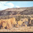 SPLENDID AUTUMN VIEW ASPEN GROVE CONEJOS RIVER CONEJOS VALLEY COLORADO 888