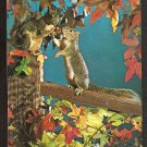 2 PLAYFUL SQUIRRELS ON A FENCE POST AMID AUTUMN FOLIAGE 897