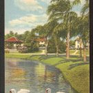 1940 LINEN POSTCARD TWO GRACEFUL SWANS IN A FLORIDA LAKE 903