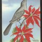 1940 LINEN POSTCARD A TUNEFUL MOCKING BIRD PERCHED ON A POINSETTIA 904