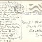 1940 LINEN POSTCARD A TUNEFUL MOCKING BIRD PERCHED ON A POINSETTIA 904