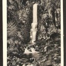 1939 RAINBOW FALLS RAINBOW SPRINGS DUNNELLON FLORIDA TOURISTS POSTCARD906