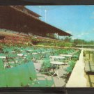 TRACKSIDE TERRACE SARATOGA RACEWAY SARATOGA SPRINGS NEW YORK HARNESS RACING TROTTERS914